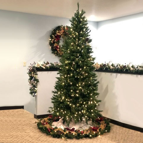 7.5' Slim Frasier Blue - Christmas - artificial Christmas trees for rent